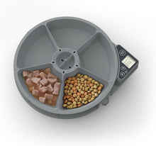 Load image into Gallery viewer, Programmable Automatic Feeder for Cats &amp; Small Dogs - 5 Meal with Ice Packs