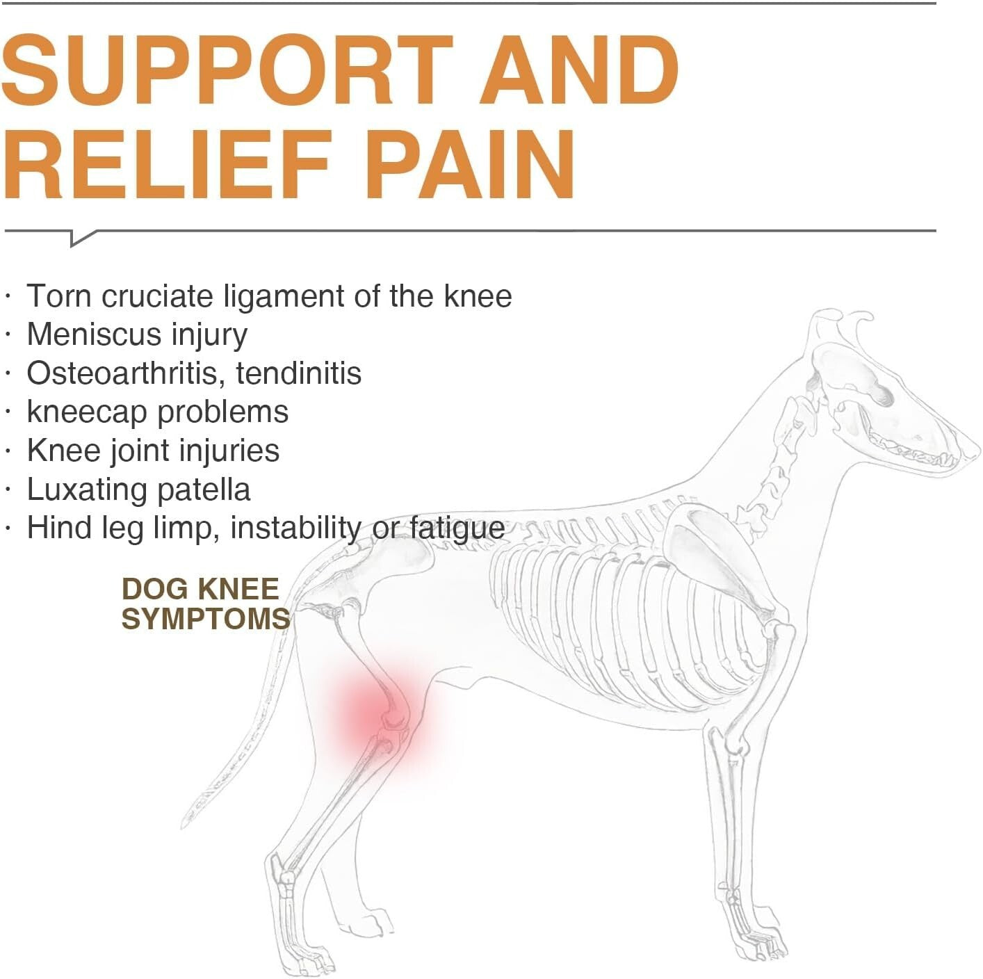 Adjustable Dog Knee Brace for Torn ACL & Luxating Patella – Medium Size