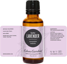 Load image into Gallery viewer, Premium Grade Lavender Spike Oil - 1 fl oz for Aromatherapy and Home Wellness