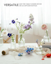Load image into Gallery viewer, Charming Set of 32 Clear Glass Bud Vases – Ideal for Centerpieces and Gifts