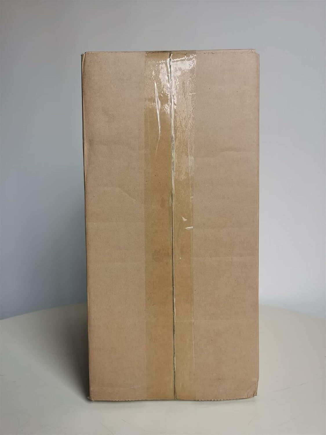 9.84 x 5.31 x 7.87 Black Glass Terrarium - Perfect for Indoor Cacti & Succulents