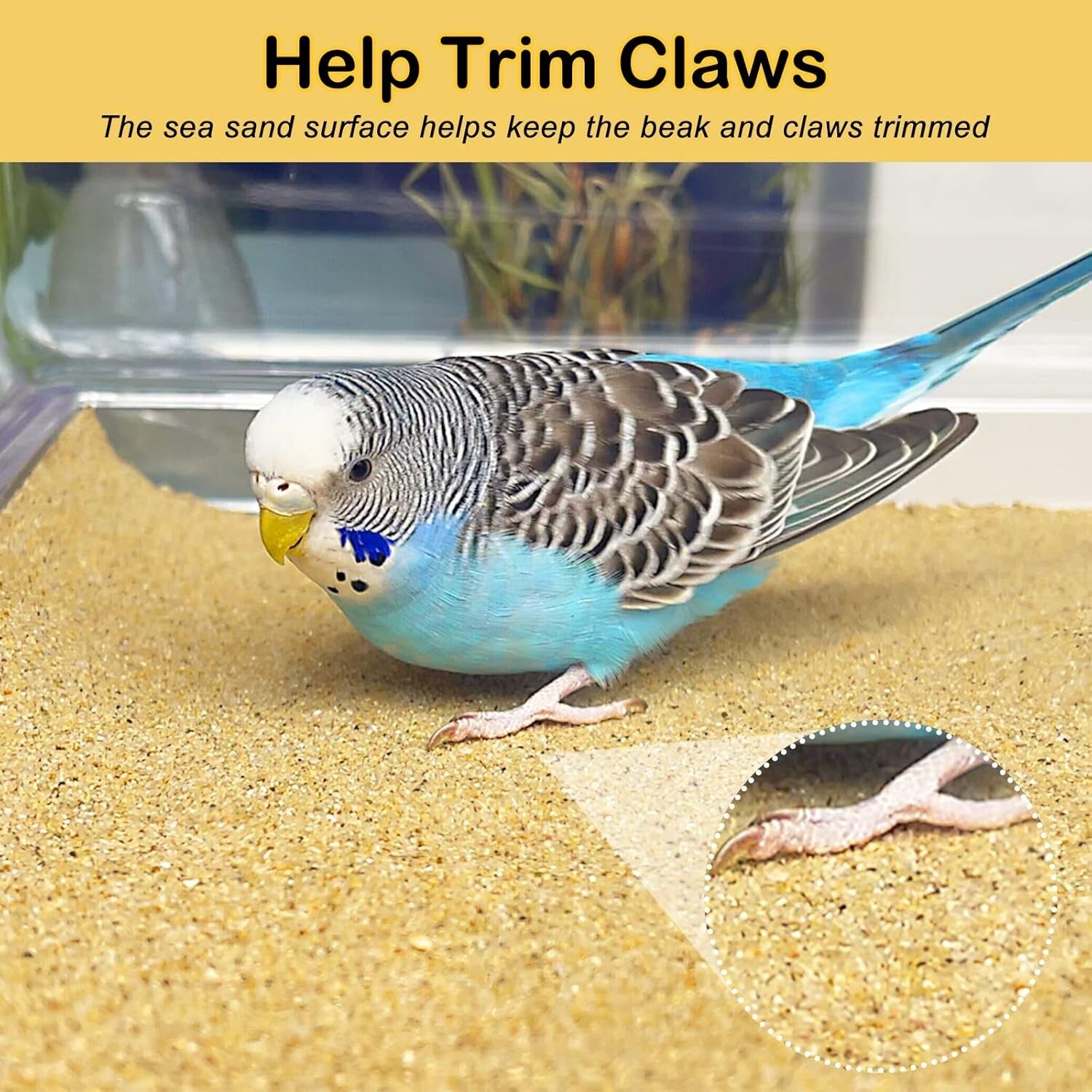 Disposable Bird Cage Liner 11" x 17" - Essential for Parakeets & Cockatiels