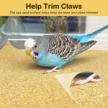 Load image into Gallery viewer, Disposable Bird Cage Liner 11" x 17" - Essential for Parakeets &amp; Cockatiels