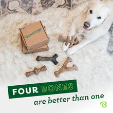 Load image into Gallery viewer, Flavor-Packed Large 4-Pack Dog Chew Toys - Perfect for Active Chewers