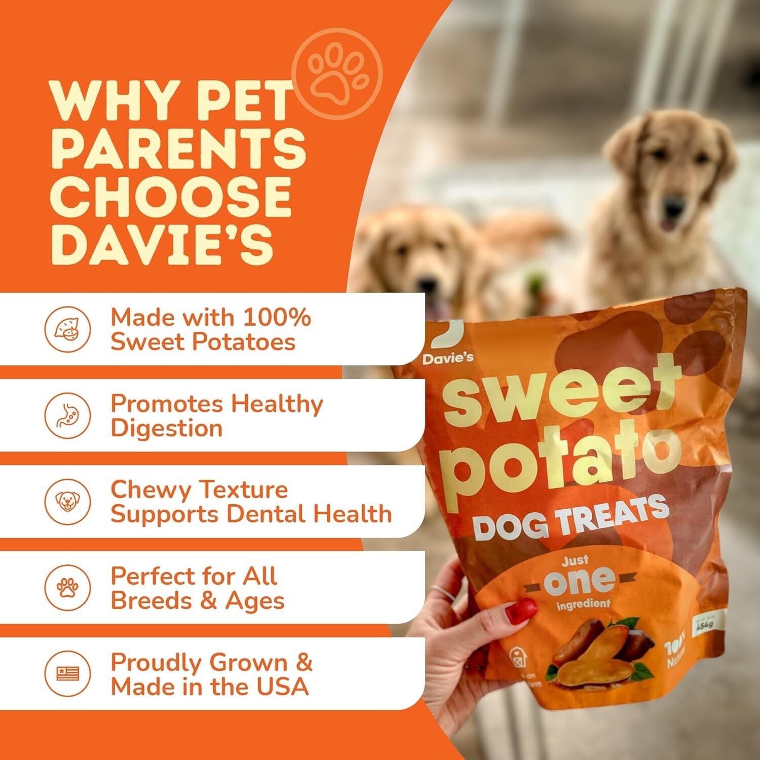 Healthy Sweet Potato Chews for Dogs - Grain-Free, Vegetarian Treats - 2 lb Pack