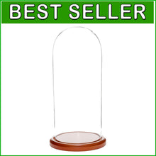 Load image into Gallery viewer, Stylish 5.5" x 13" Rectangular Glass Dome on Walnut Base - Perfect for Displays