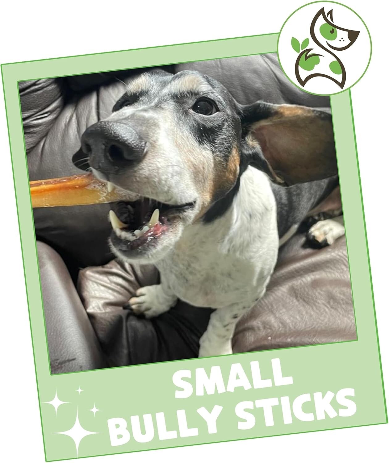 Savory Small Bully Sticks 5-6" - Natural Beef Treats for Puppies and Small Dogs