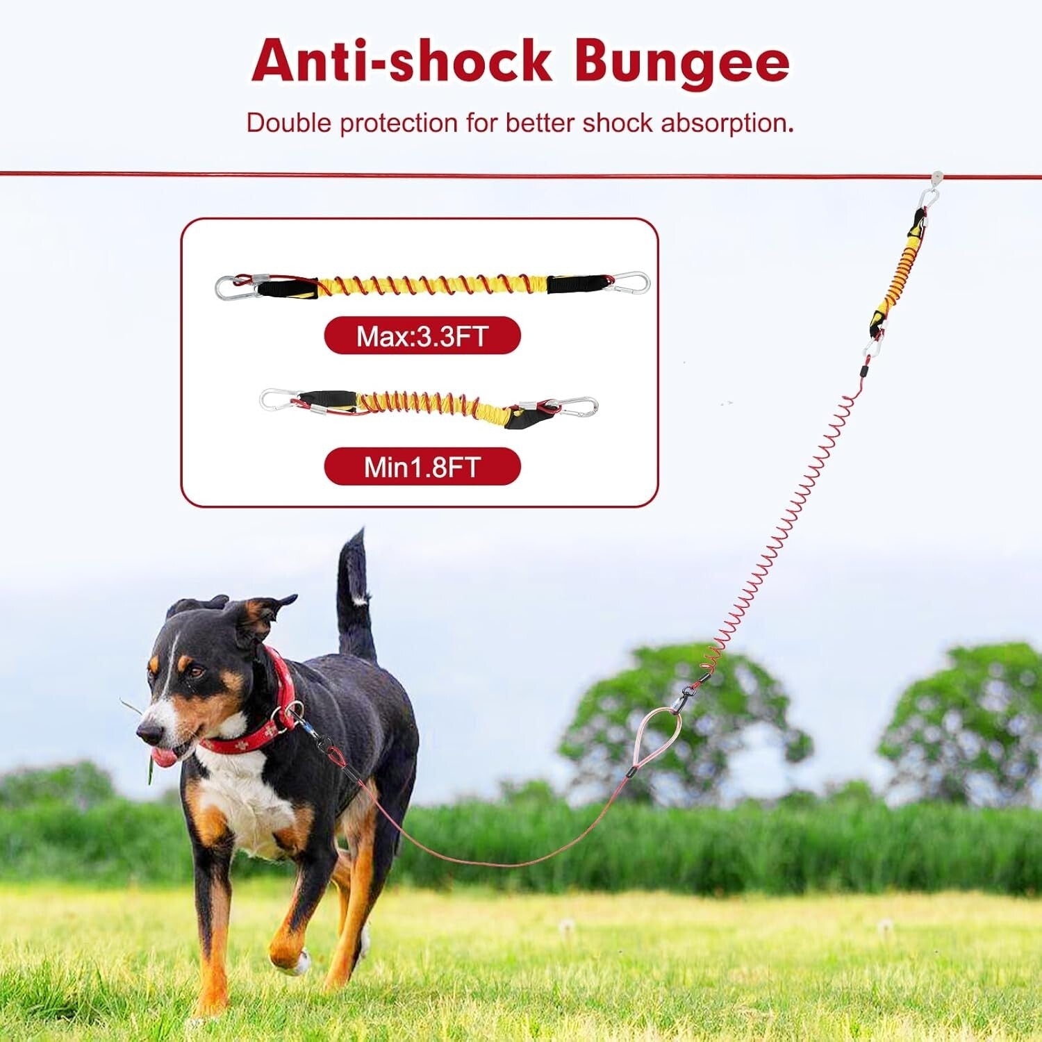 Tangle-Free Heavy-Duty Dog Zip Line - 75ft Anti-Shock System for 300lbs Dogs