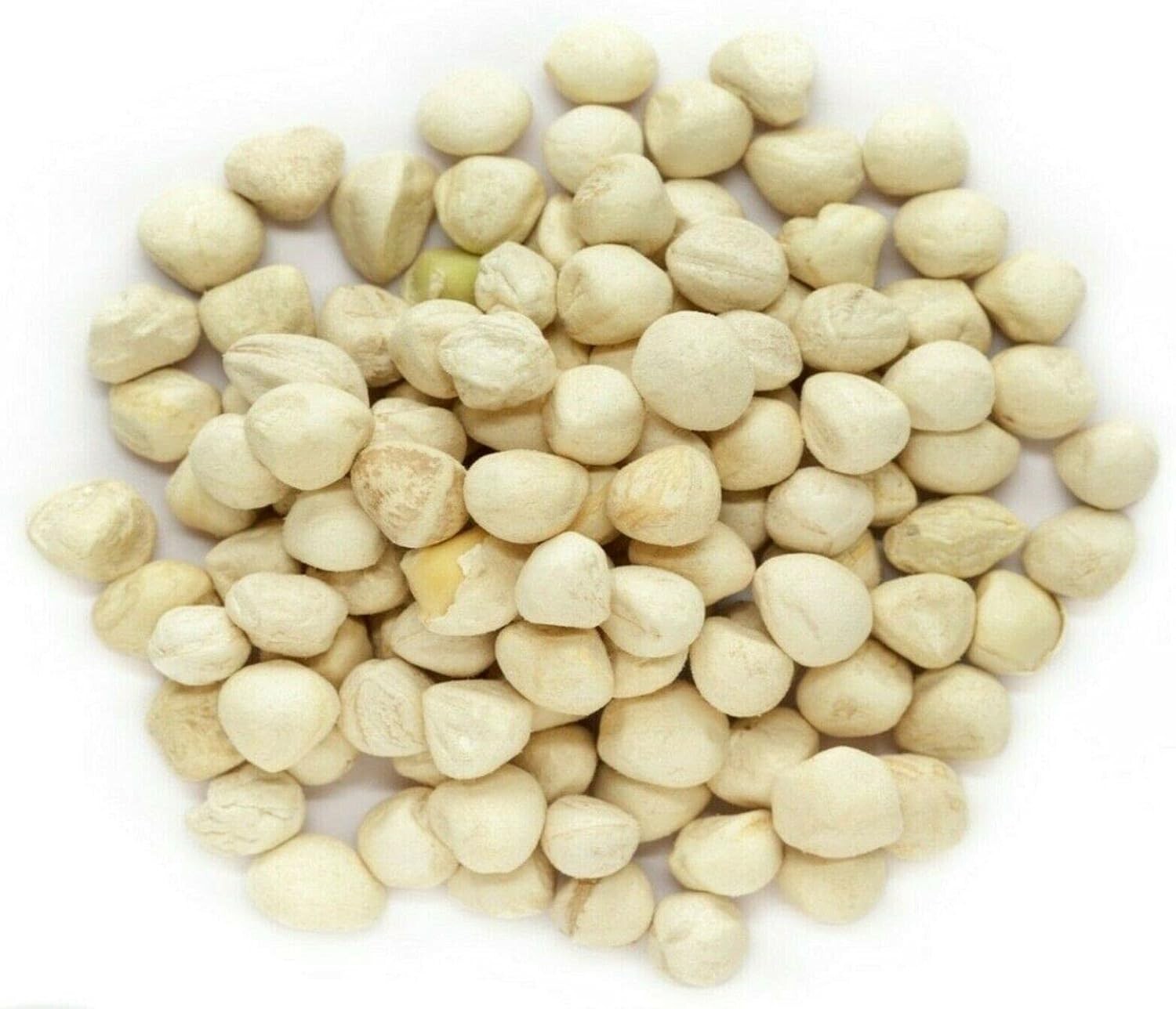 Clean Moringa Seeds - 2 lbs. Wide Mouth Jar - Boosts Energy & Supports Wellness