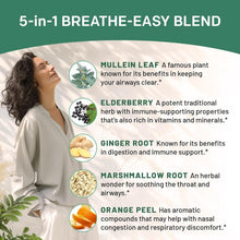 Load image into Gallery viewer, 5-in-1 Mullein Drops Tincture for Lung Support - 120 Servings Backed by Nature