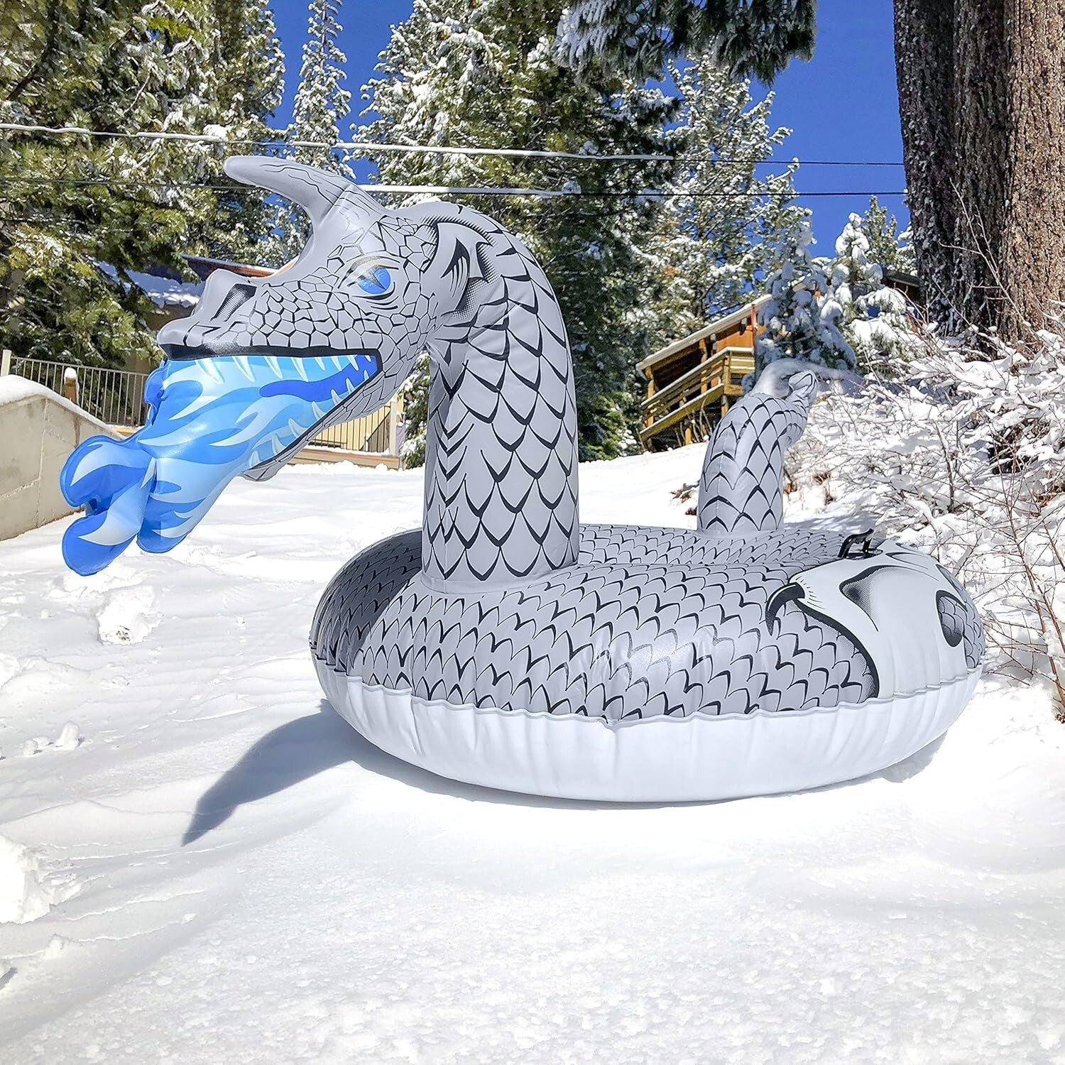 Ice Dragon and More! Vibrant Inflatable Sleds for Thrilling Winter Adventures