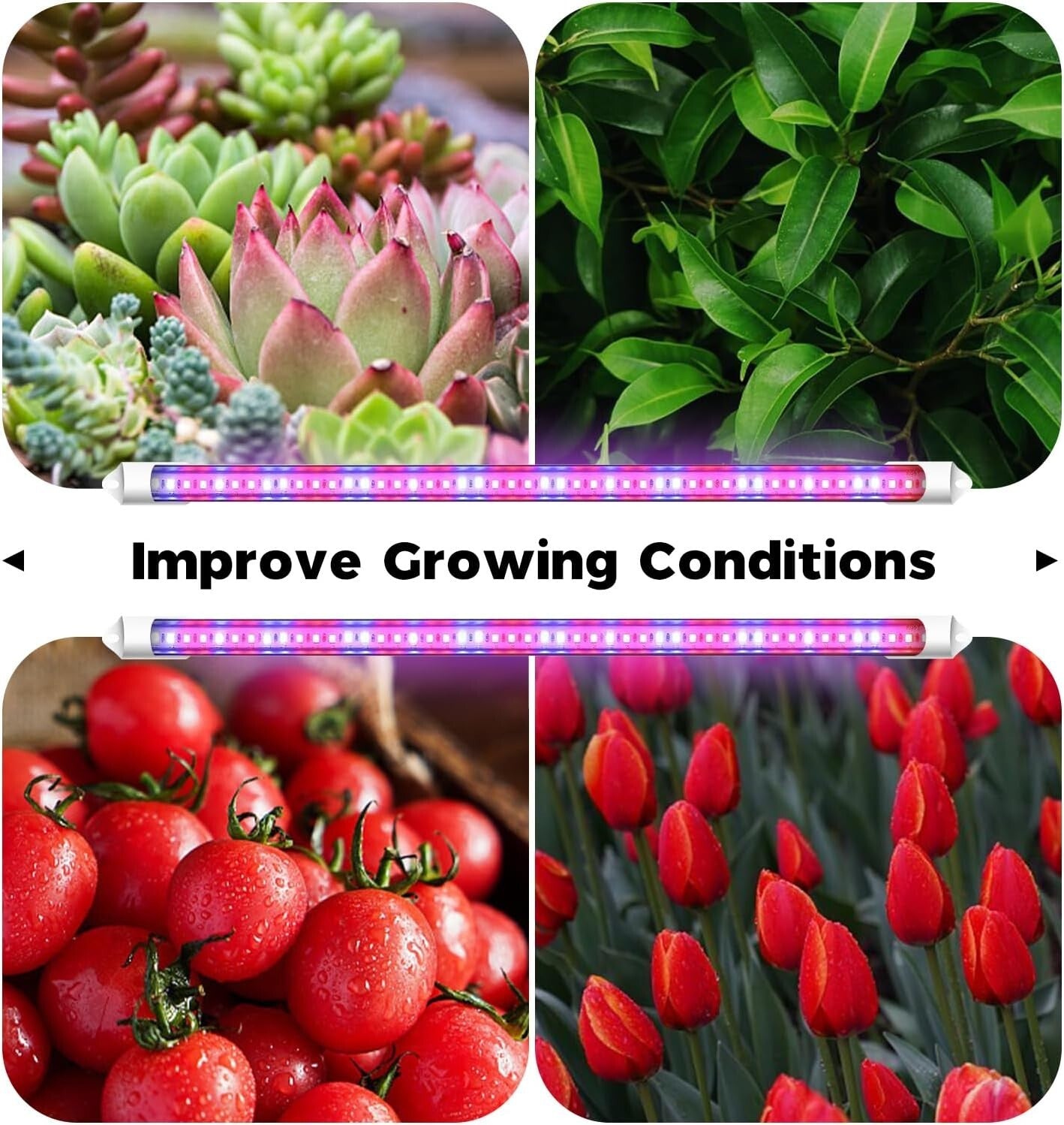 Durable Carbonized Wood Plant Rack with Integrated Grow Light - 16 Pot Capacity