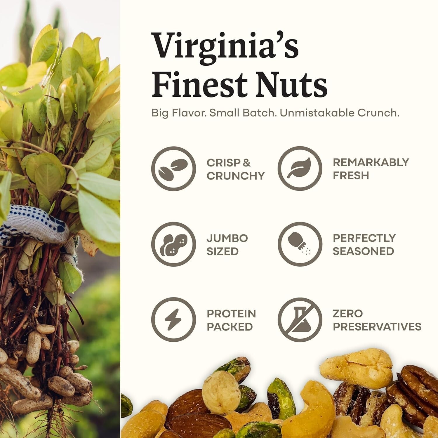 Family-Farmed Gourmet Mixed Nuts - 18 oz Premium Snack with Simple Ingredients