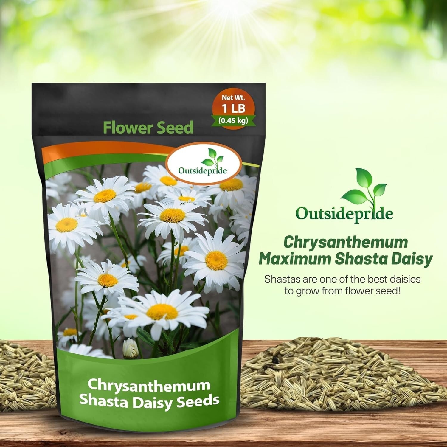 1 Lb. Shasta Daisy Seeds - Perennial, Deer Resistant & Drought Tolerant Flowers