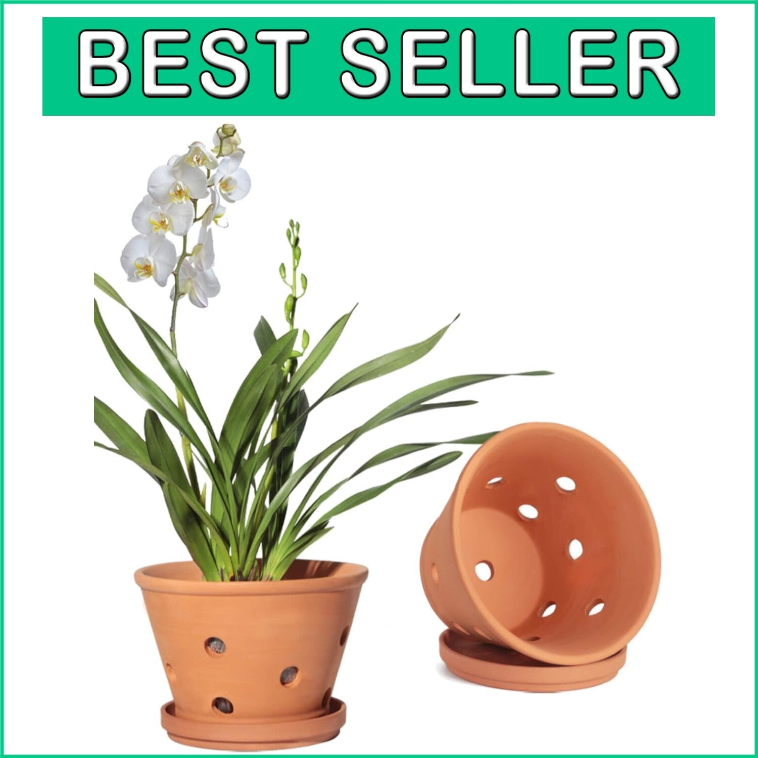 Classic 8-Inch Terracotta Plant Pots with Breathing Holes – Perfect for Orchids