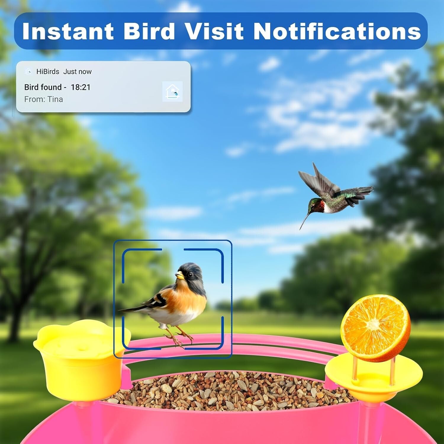 Smart Solar-Powered Bird Feeder with AI Recognition & Built-In Camera – Pink