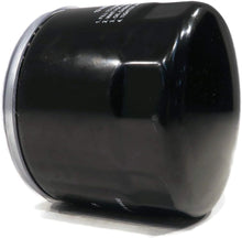 Load image into Gallery viewer, High-Performance Oil Filters 12-050-01-S for Reliable Lawn Mower Maintenance