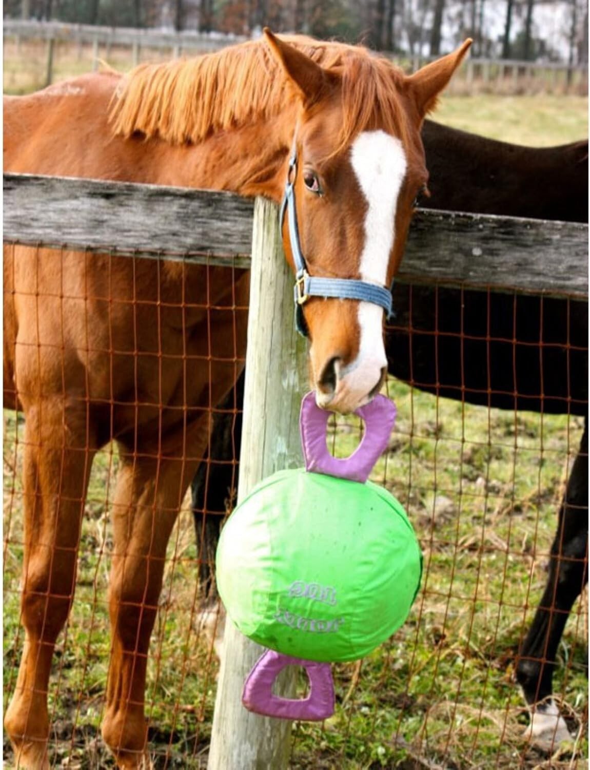 14" Jolly Tug Toy for Horses - Bright Blue, Machine Washable, All Breeds