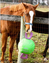 Load image into Gallery viewer, 14" Jolly Tug Toy for Horses - Bright Blue, Machine Washable, All Breeds