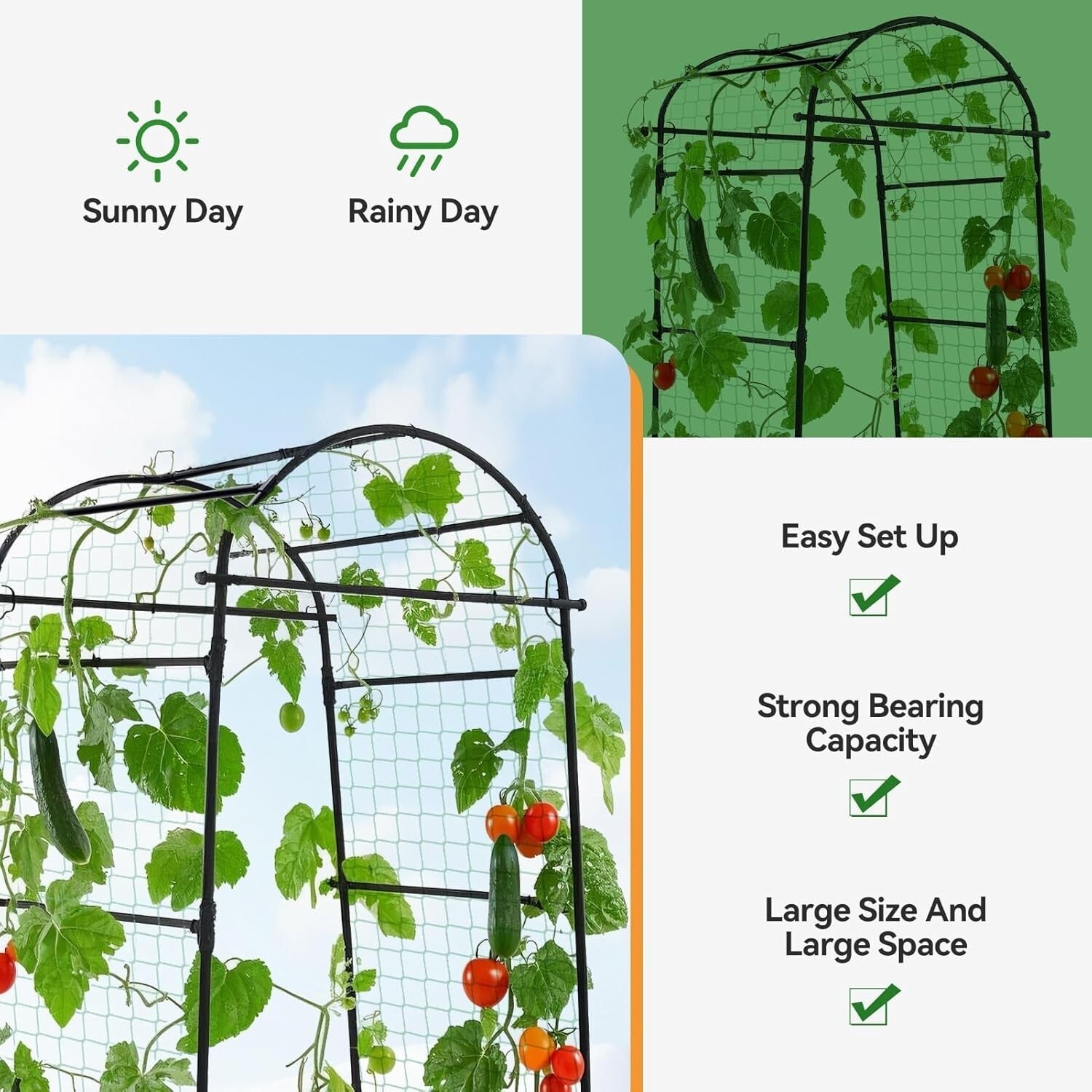 Elegant 80-Inch Garden Arch Trellis for Climbing Plants - Durable Metal Support