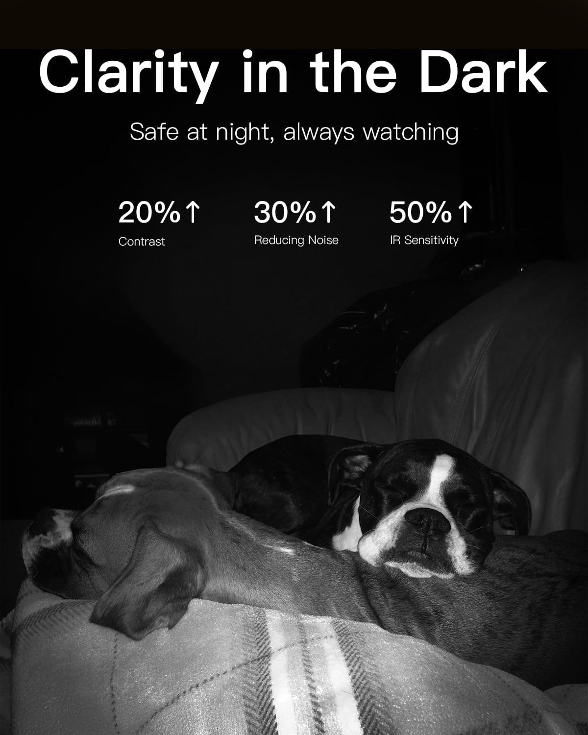 360° Pet Dog and Baby Monitor Cameras - 2-Pack with Night Vision and App Control
