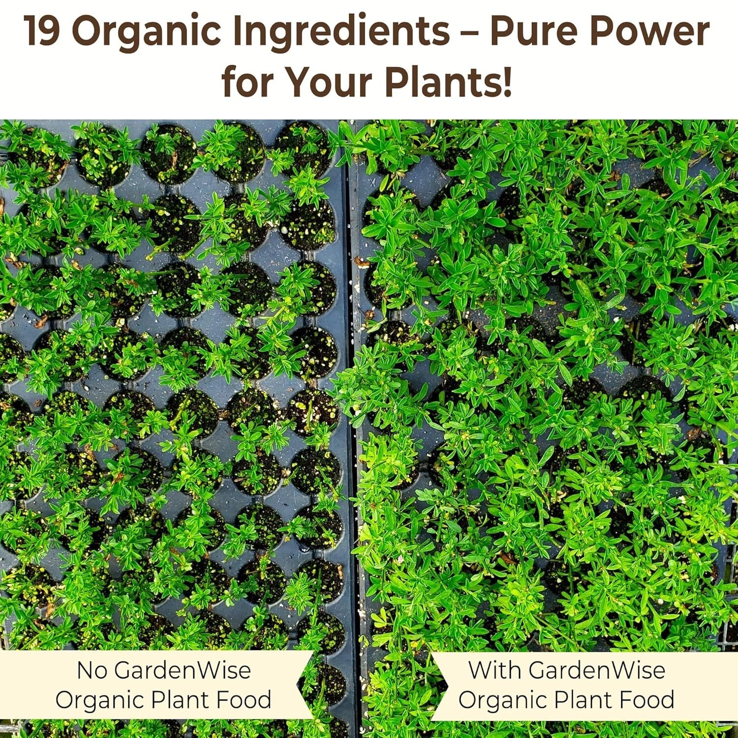 All-Purpose Organic Plant Fertilizer 32 oz – Boost Indoor & Outdoor Growth