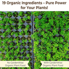 Load image into Gallery viewer, All-Purpose Organic Plant Fertilizer 32 oz – Boost Indoor &amp; Outdoor Growth