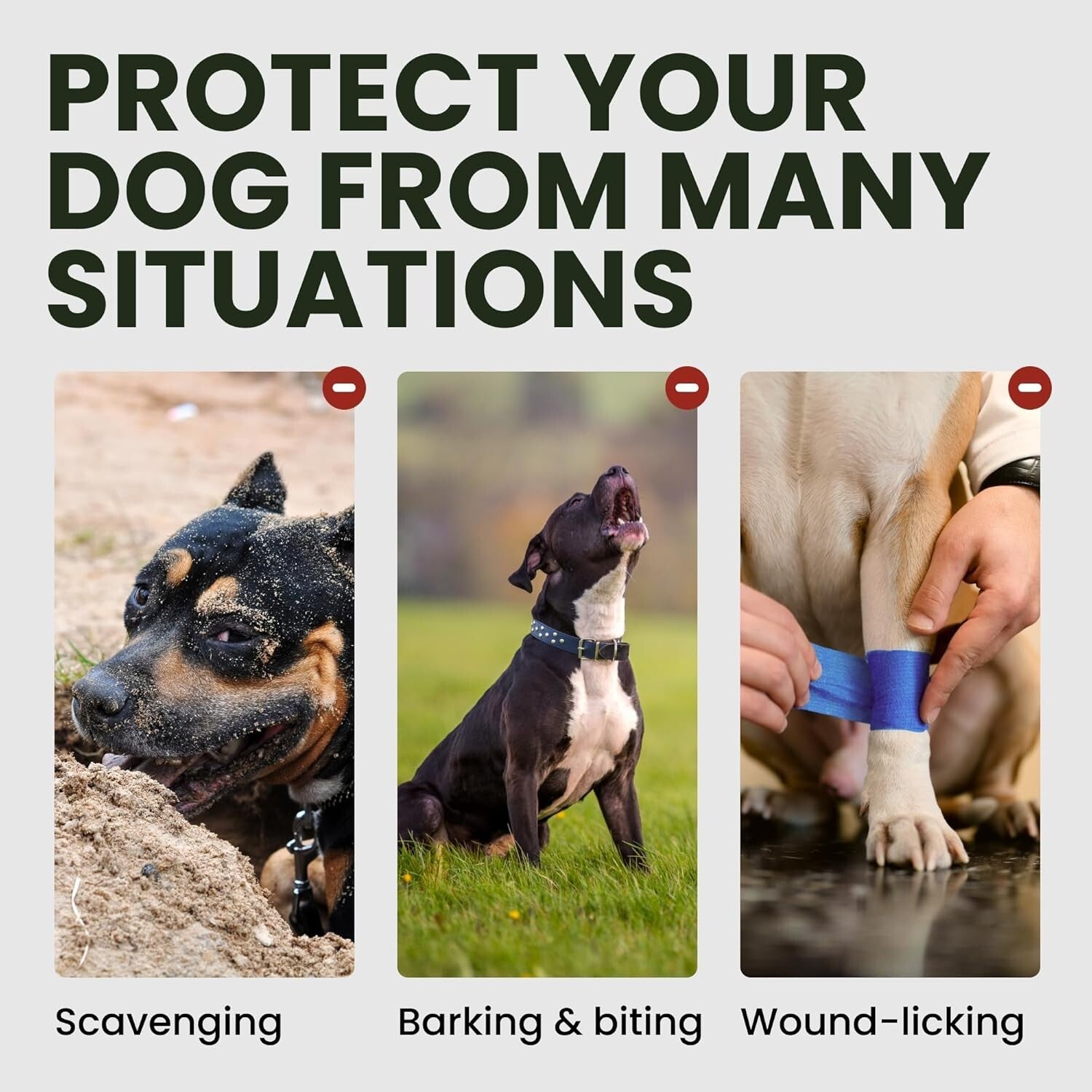 Durable Stainless Steel Dog Muzzle for Great Danes - Comfortable & Humane