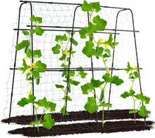 Load image into Gallery viewer, Lightweight and Sturdy Plant Support Trellis - 5.3 FT for Easy Gardening