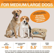 Load image into Gallery viewer, Dishwasher Safe Elevated Dog Feeder with Slow Feed Bowl and Spill Proof Design