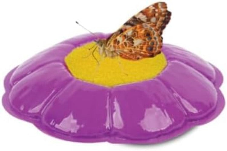 Metamorphosis Magic: 5 Caterpillars & Mini Habitat - Perfect Family Project