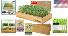 Load image into Gallery viewer, Stylish Microgreens Growing Kit with Natural Wood Finish - Perfect for Beginners
