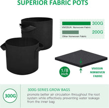 Load image into Gallery viewer, Stylish &amp; Versatile 10 Gallon Fabric Grow Bags - Ideal for Indoor &amp; Outdoor Use