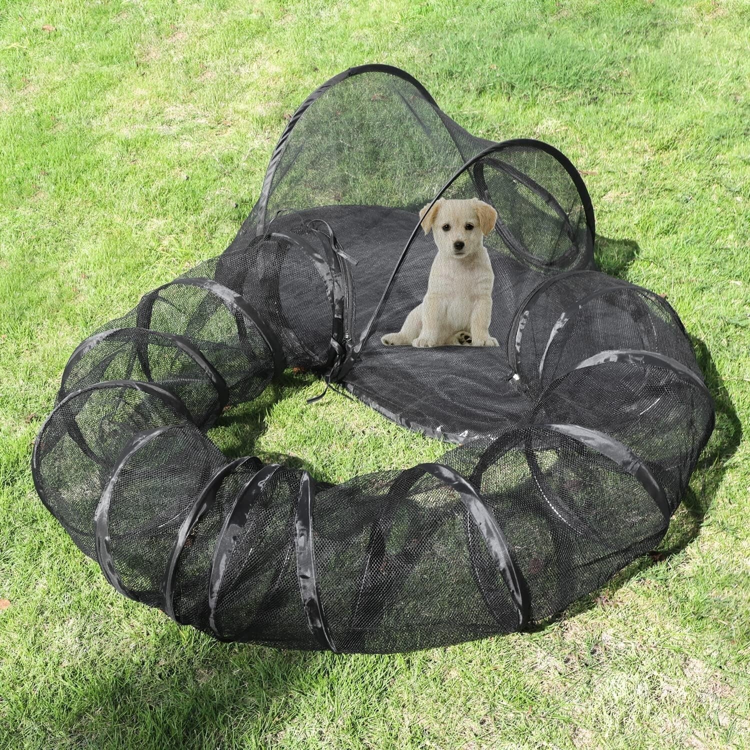 Lightweight Catio for Cats with Tunnel - Safe Outdoor Enclosure & Carry Bag