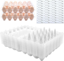 Load image into Gallery viewer, Reusable 24 Egg Clear Cartons with Free Labels – Perfect for Markets &amp; Farms