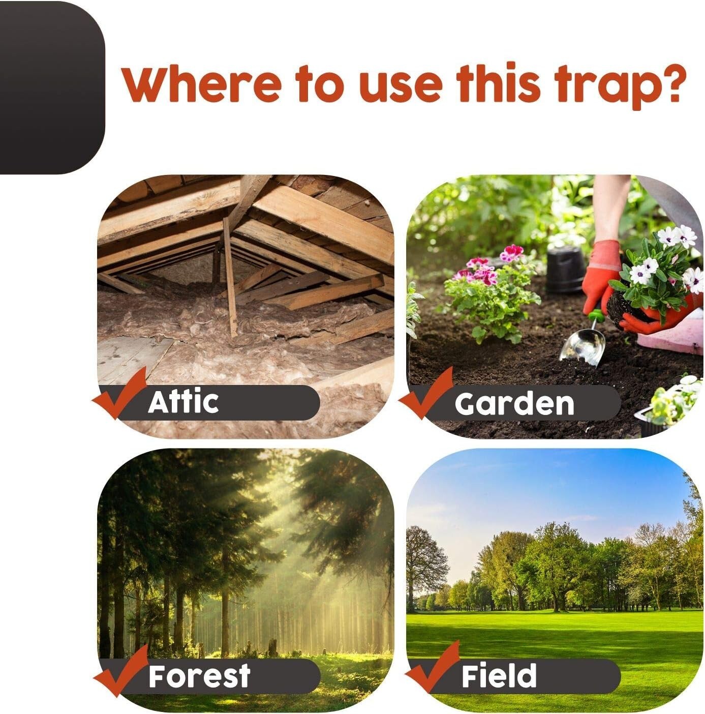 High-Quality Outdoor Squirrel Trap - Large Metal Design for Quick Extermination