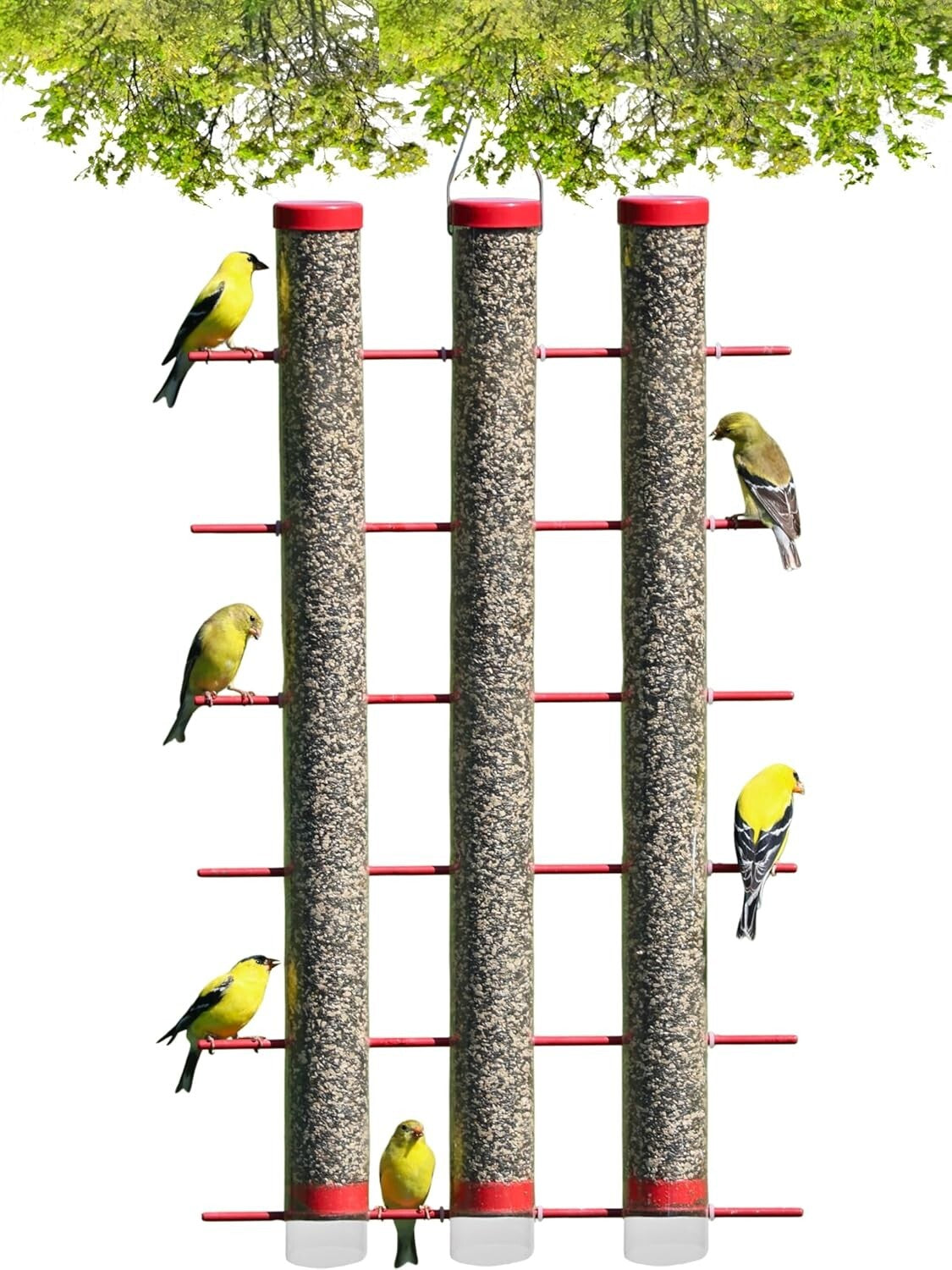 Large Capacity Finch Feeder – 3 Pounds of Seeds with 24 Perches for Goldfinches