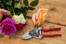 Load image into Gallery viewer, Swiss-Made Pruning Shears: Lightweight Garden Scissors with Steel Blade