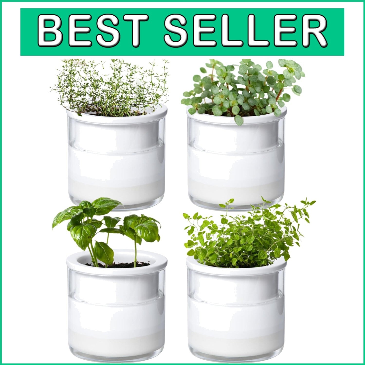 Elegant 4" Modern Terracotta Pots with Glass | Indoor Self-Watering Planters