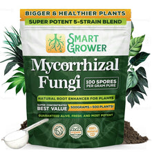 Load image into Gallery viewer, 5-Strain Mycorrhizal Fungi Blend - Potent Support for Garden and Lawn Growth