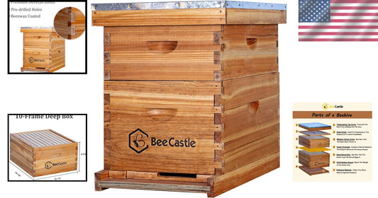 10-Frame Langstroth Beehive Kit - Complete Setup with Beeswax Foundation Sheets