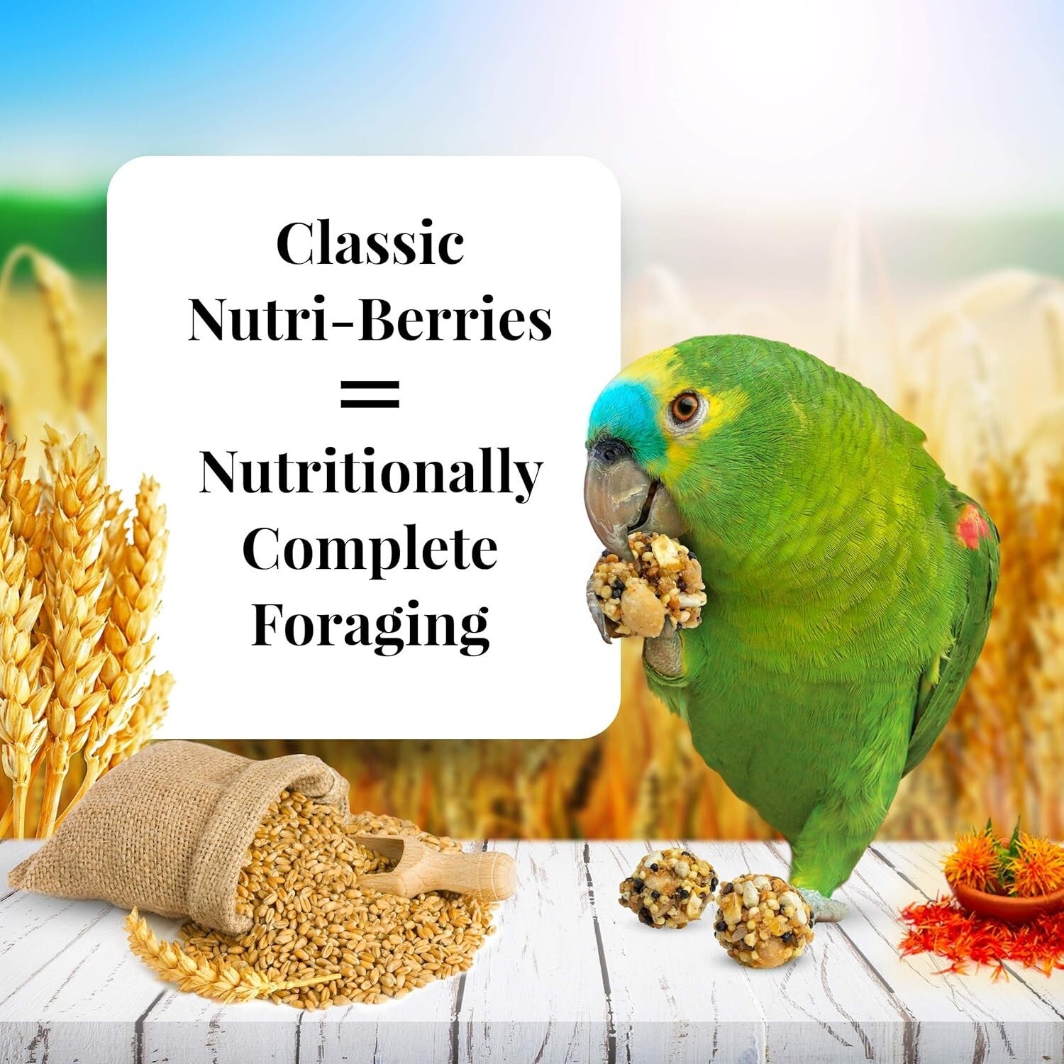 Classic Nutri-Berries for Parrots - Foraging-Friendly & Nutritious 14 lb Pack