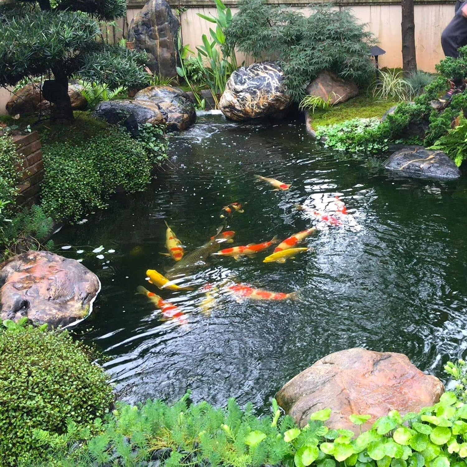 Waterproof Pond Liner 20 Mil - Versatile 20 x 25 FT for Fountains and Waterfalls