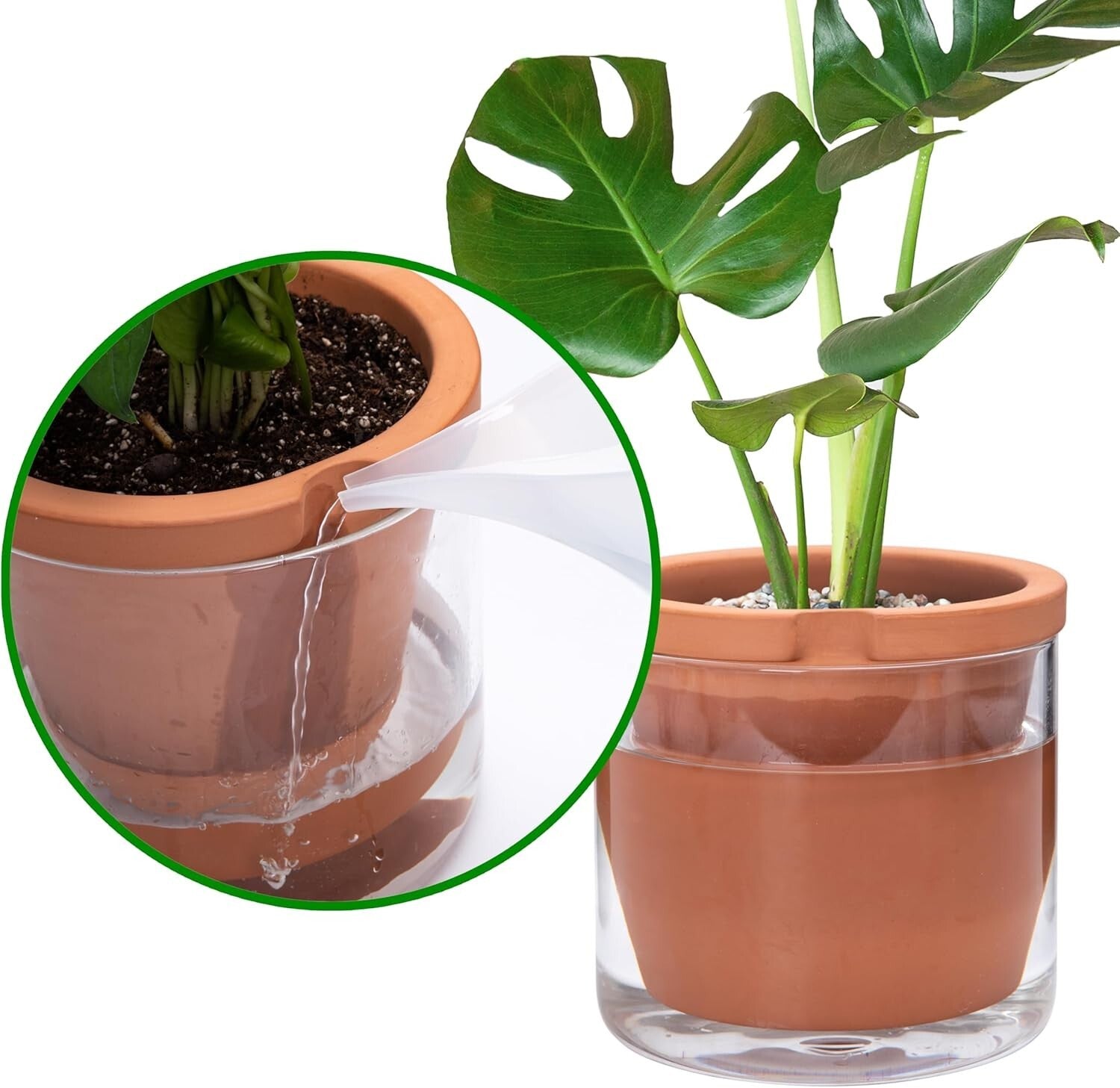8 Inch Self-Watering Terracotta Planter with Glass Reservoir - Modern Elegance