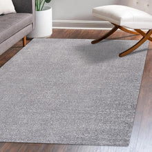 Load image into Gallery viewer, Modern Solid Grey Indoor Area Rug 4' x 6' - Low Pile, Stain Resistant &amp; Pet Safe