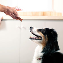 Load image into Gallery viewer, Healthy Bacon Dog Treats – Soft, Chewy, Fortified Snacks in Convenient 10 Pack