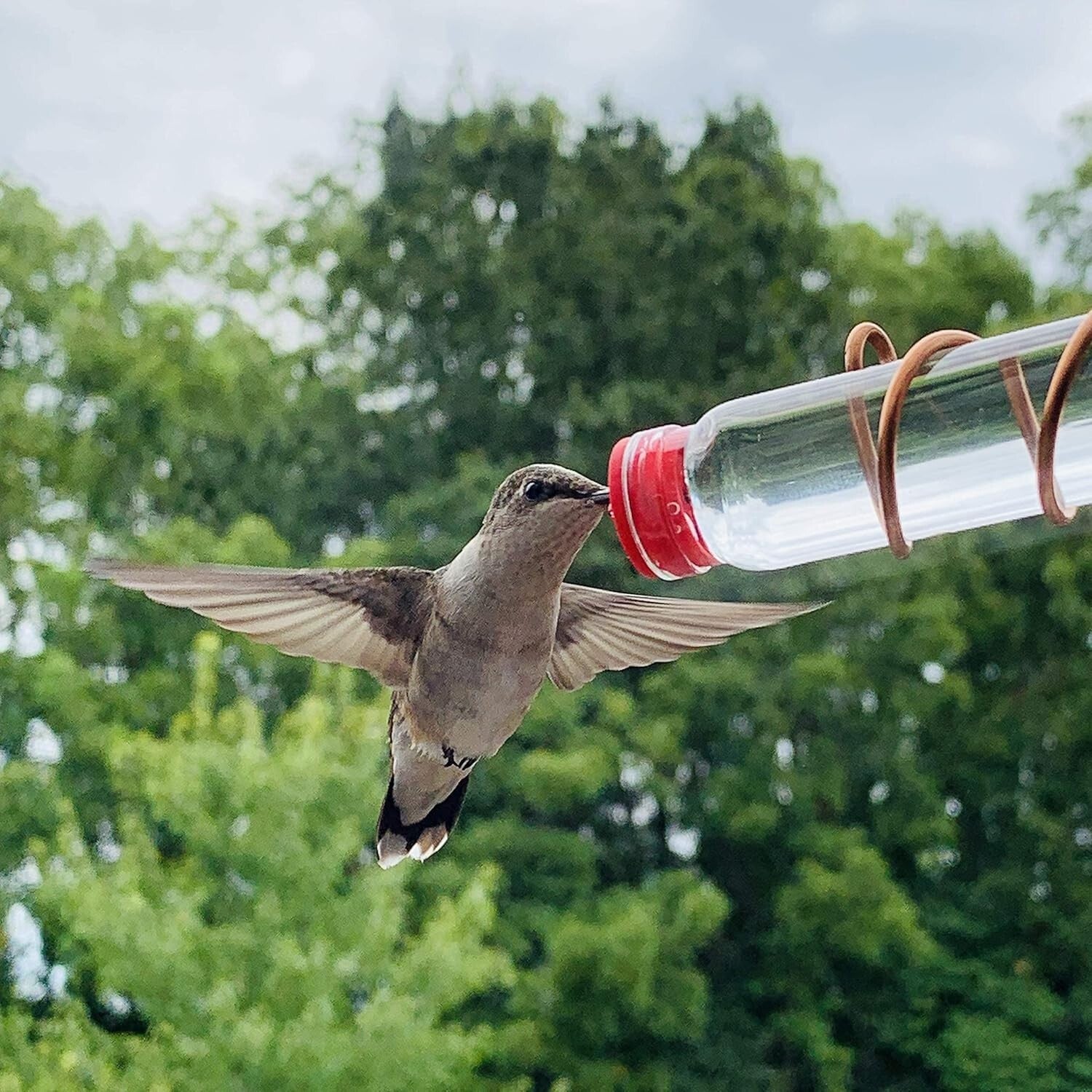 Handcrafted Copper Window Hummingbird Feeder with 4 Stations & Easy-Fill Bottles