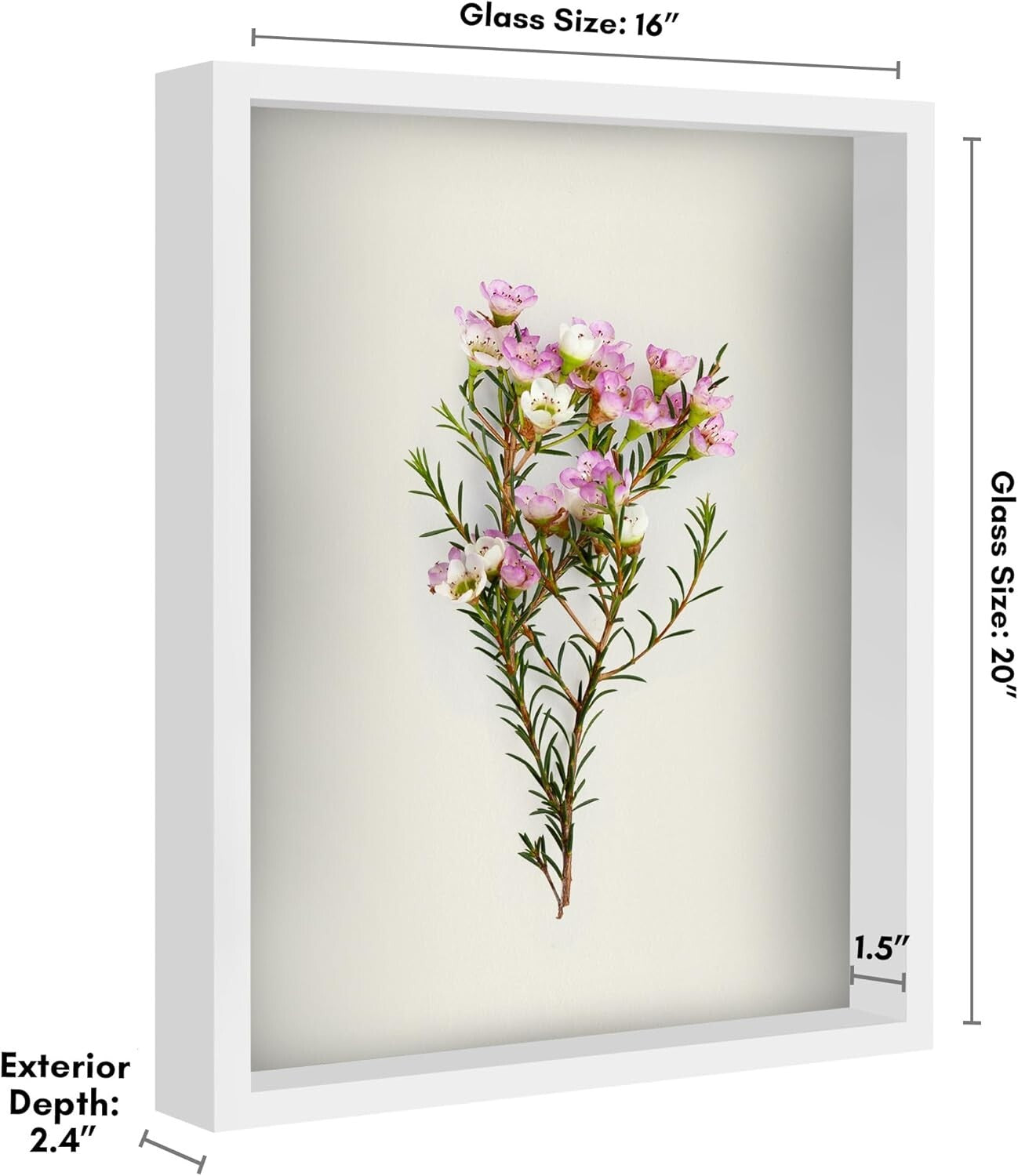 Elegant 16x20 Shadow Box Frame - Tabletop & Wall Display, White Felt Back