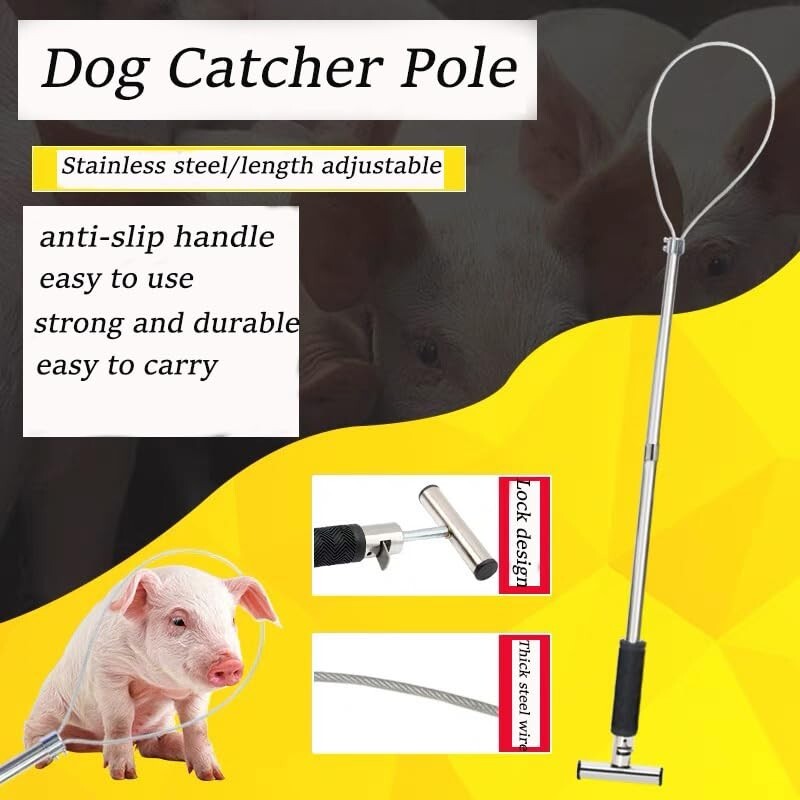 Premium Adjustable Animal Control Pole with Locking Noose for Livestock and Dogs