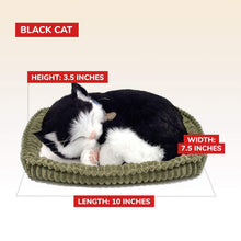 Load image into Gallery viewer, Lightweight Black and White Kitten Toy - Safe Handcrafted Companion for All